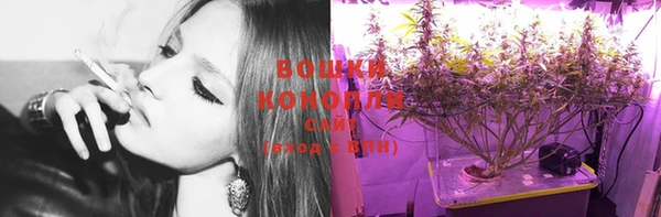 прущая мука Богданович