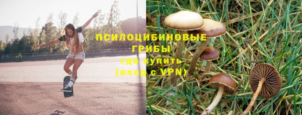 хмурый Богородск