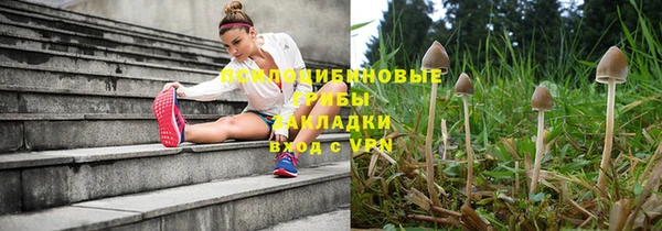 прущая мука Богданович