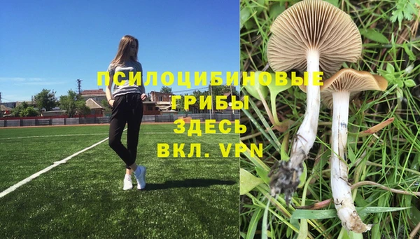 мяу мяу кристалл Богородицк