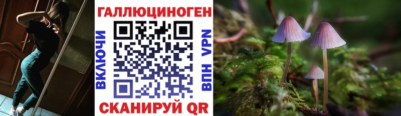 Галлюциногенные грибы мицелий  Котельники 